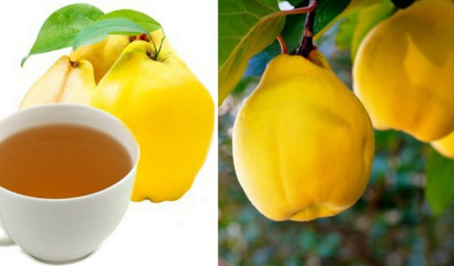 Beneficiile ceaiului de gutui pentru sanatate