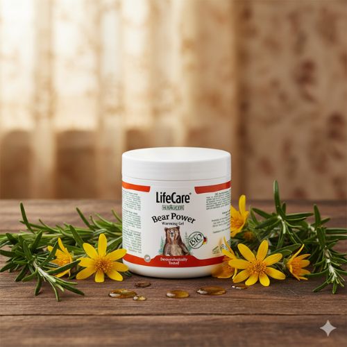 Fotografie de produs cu borcanul de Crema Puterea Ursului de la Life Care, încadrat de flori galbene de arnică și crenguțe de rozmarin, pe o suprafață de lemn, sugerând ingrediente naturale și efecte benefice.